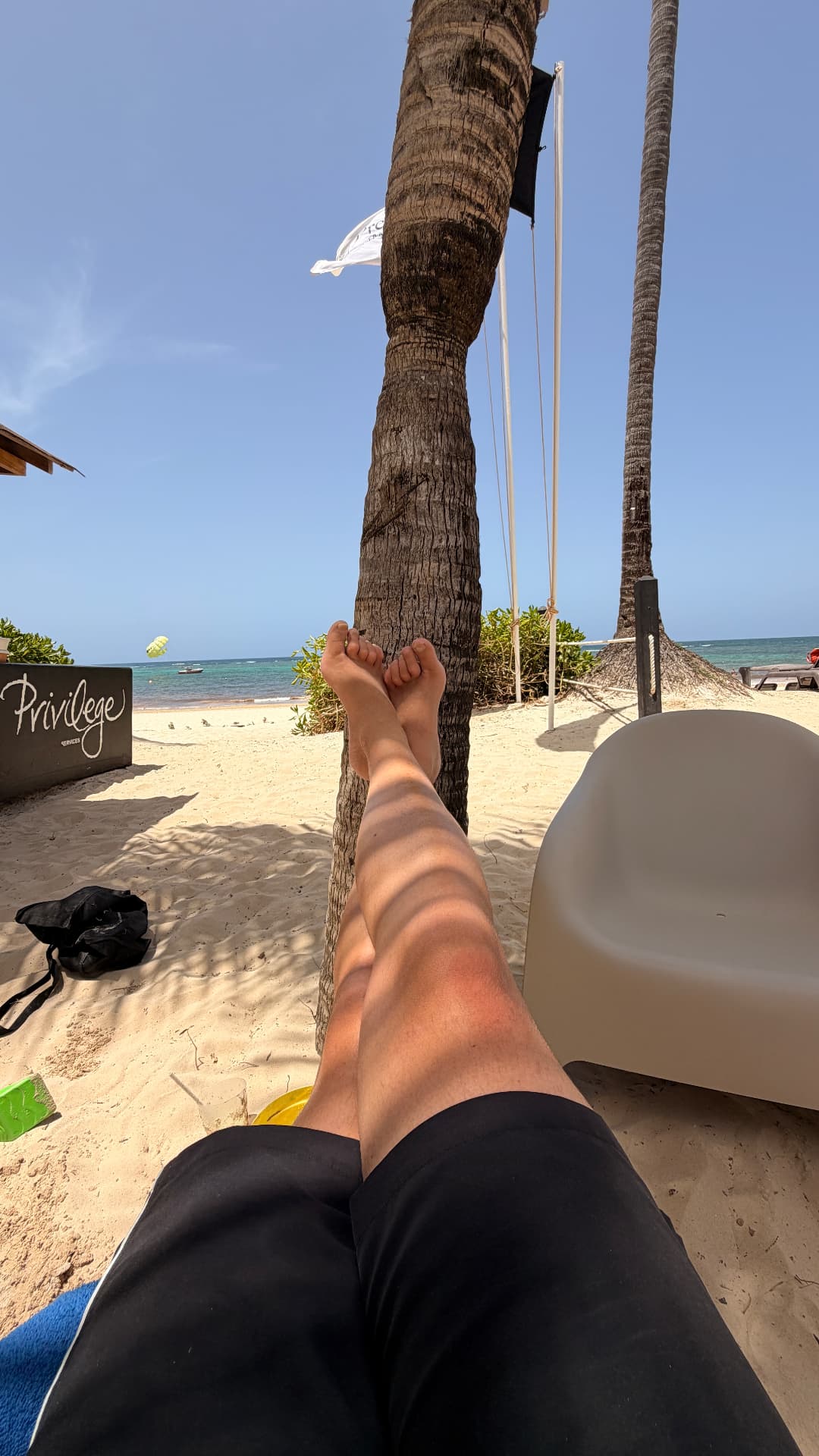 Un momento de descanso frente al mar
